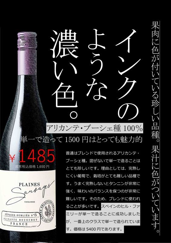 業務用100セット) セキセイ のび〜るファイル AE-61F B4E ブルー